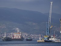 First grain ship from Ukraine arrives in Turkey